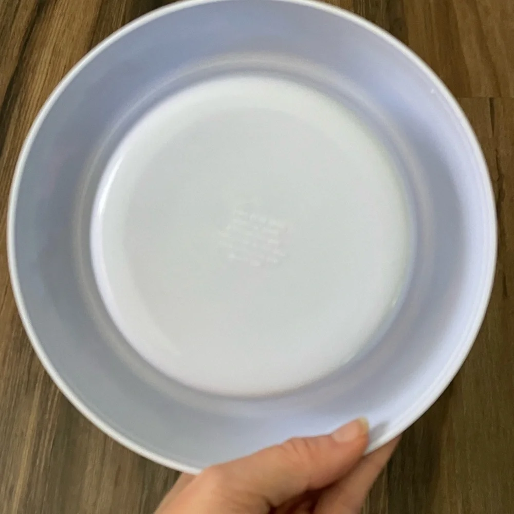 Teal and White Dog Bowl